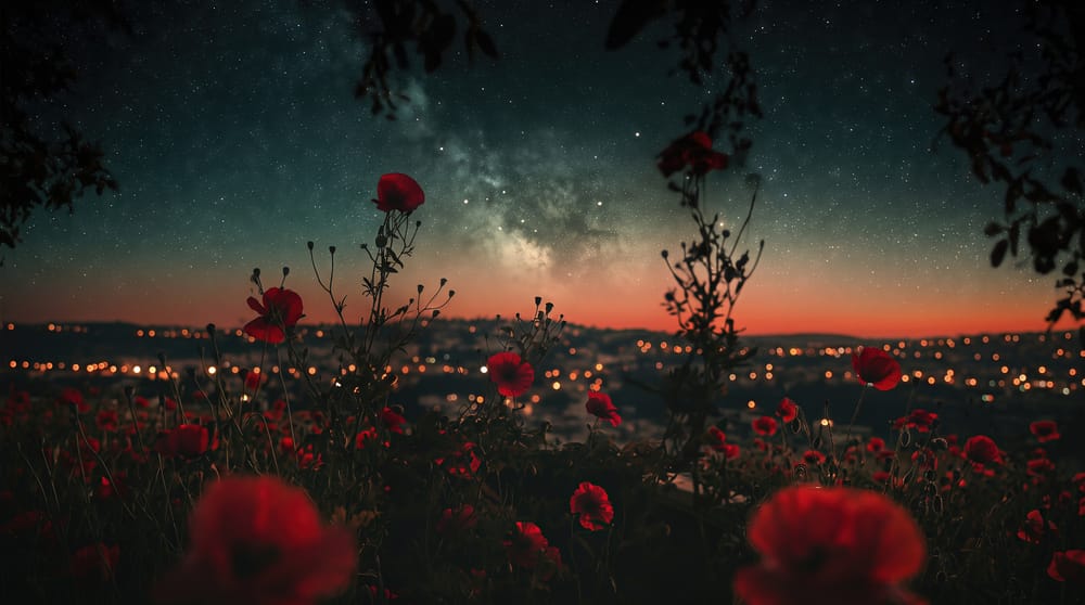 Обои