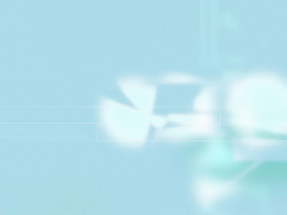 Обои