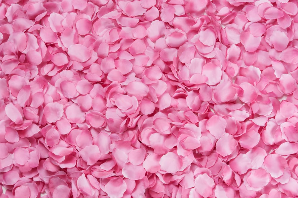 Обои