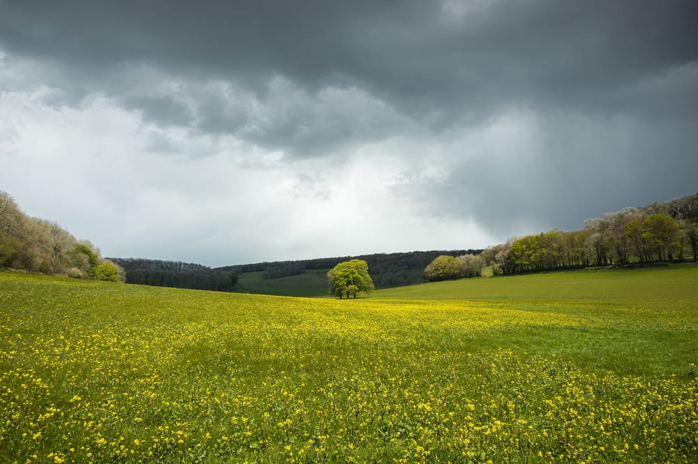 Обои