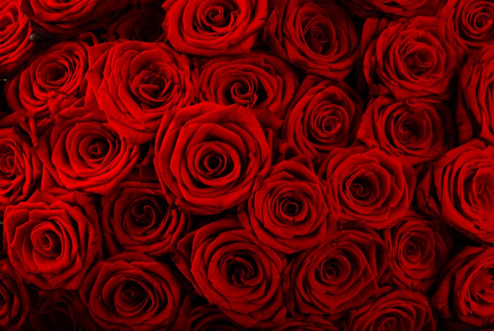 Обои