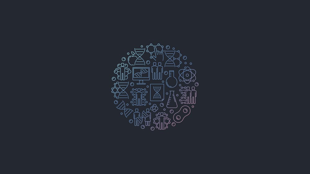 Обои