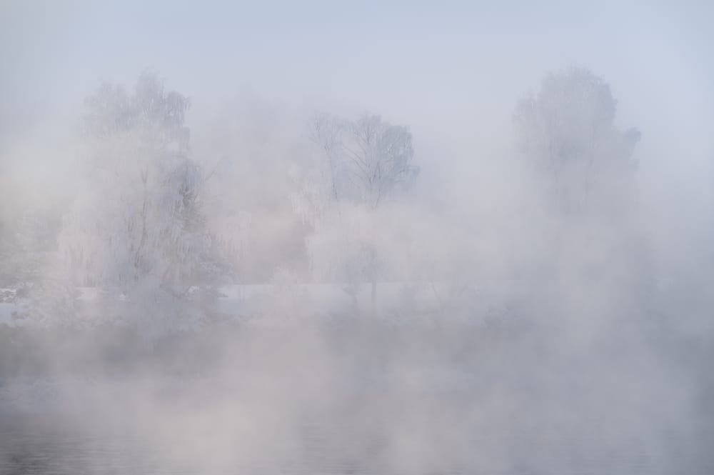 Обои