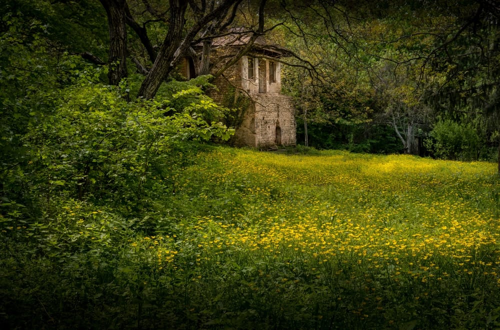Обои