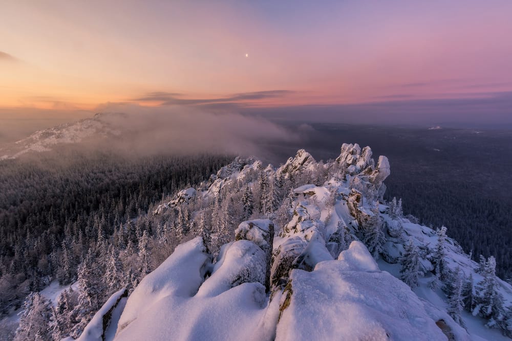 Обои