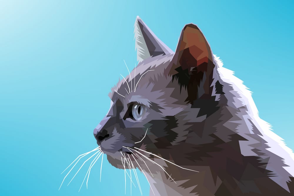 Обои