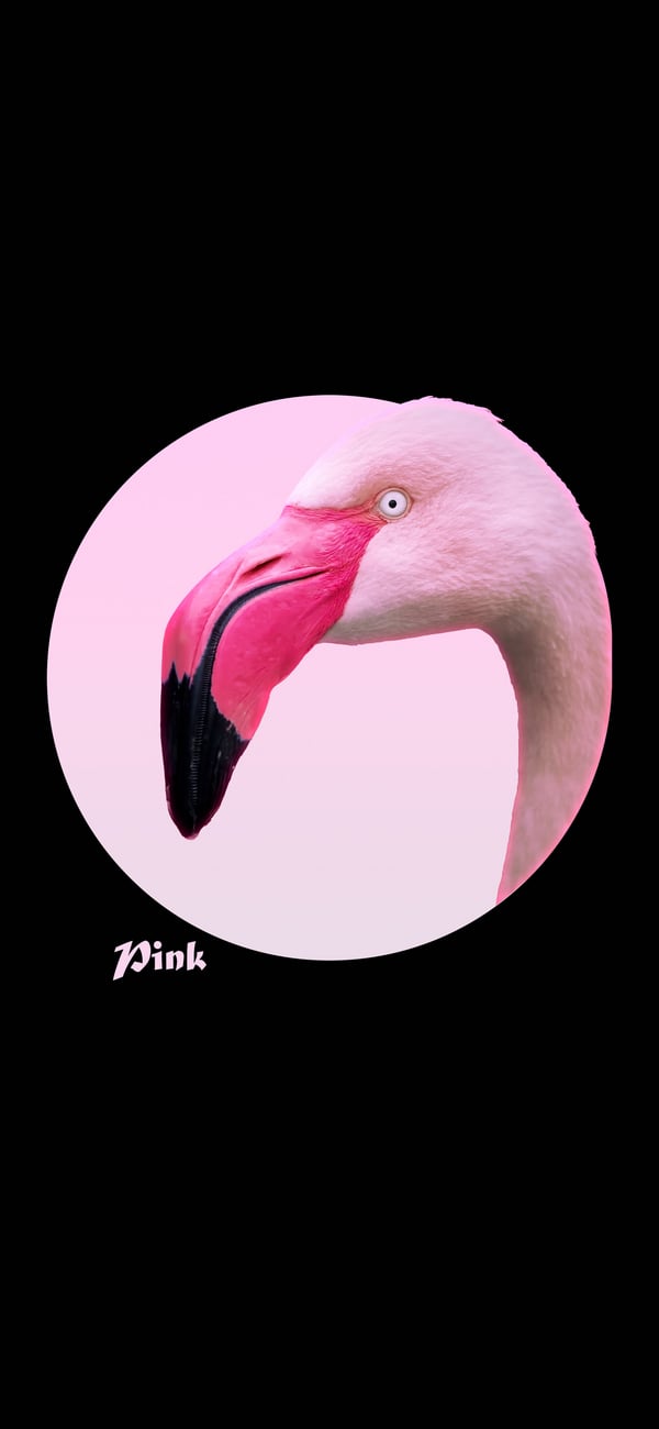 Обои