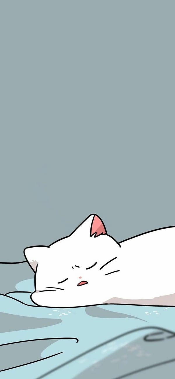 Обои