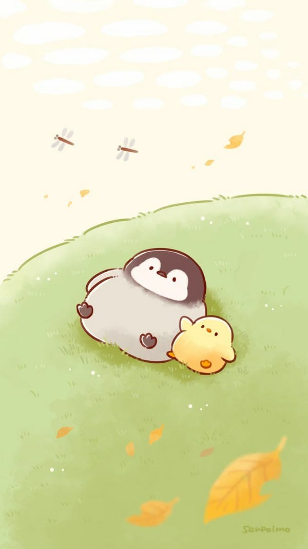 Обои