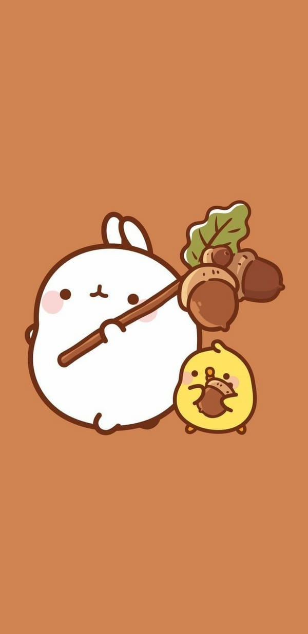 Обои