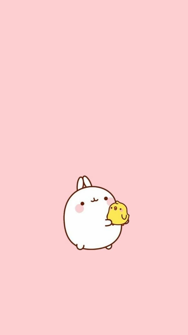 Обои