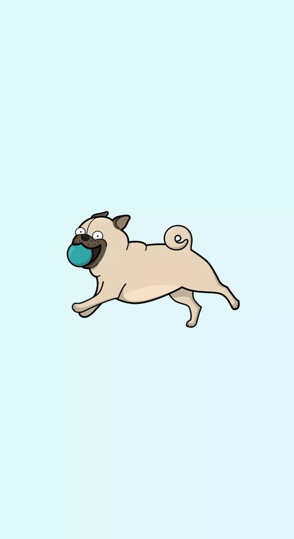 Обои
