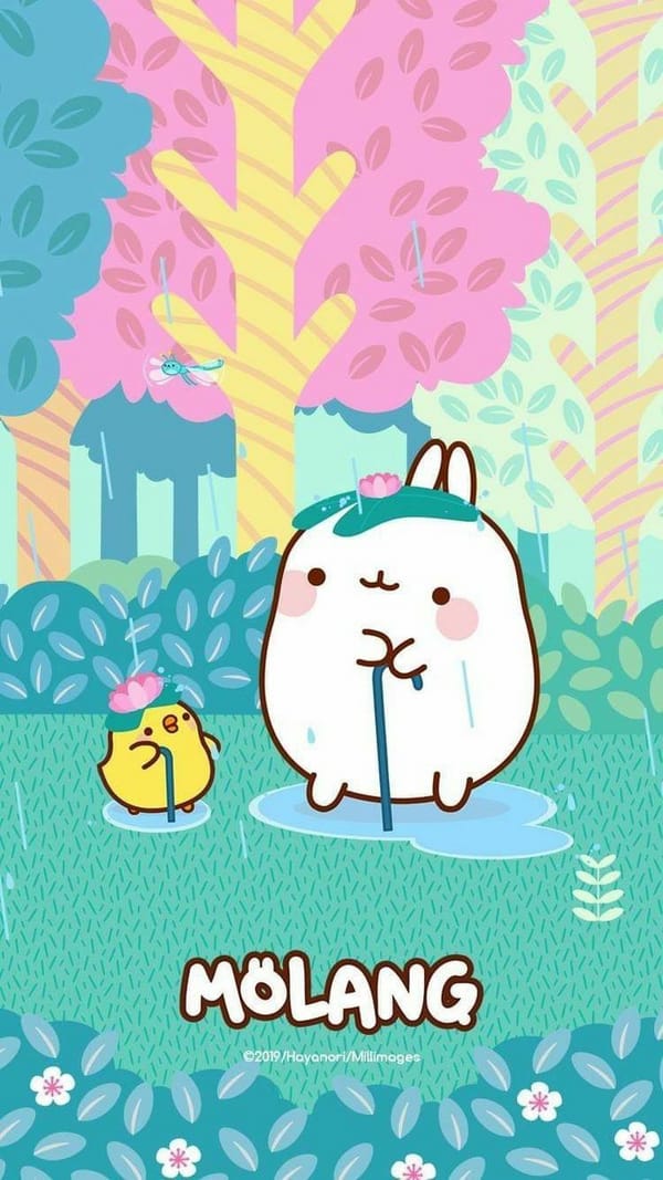 Обои