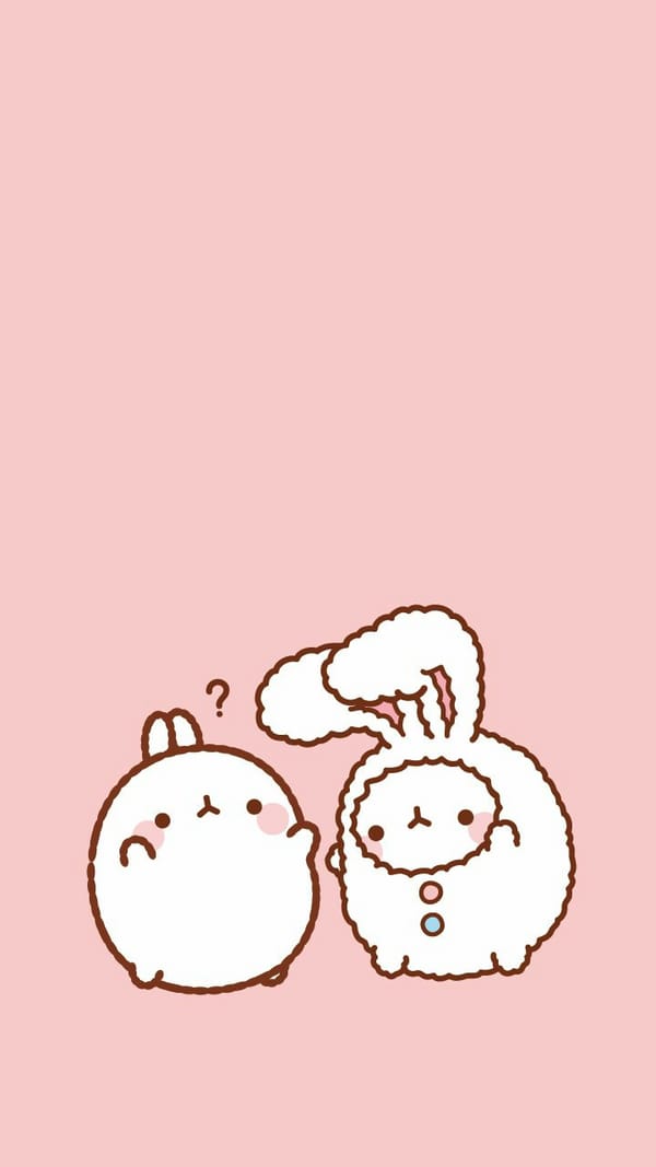Обои