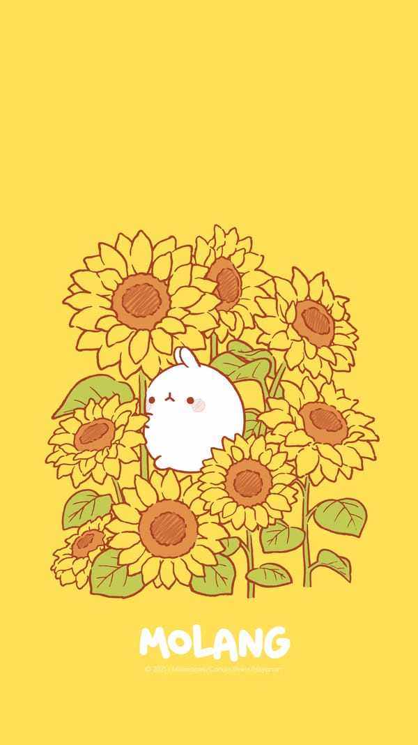 Обои