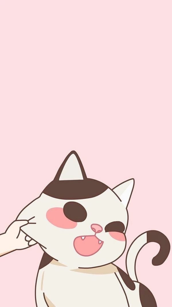 Обои