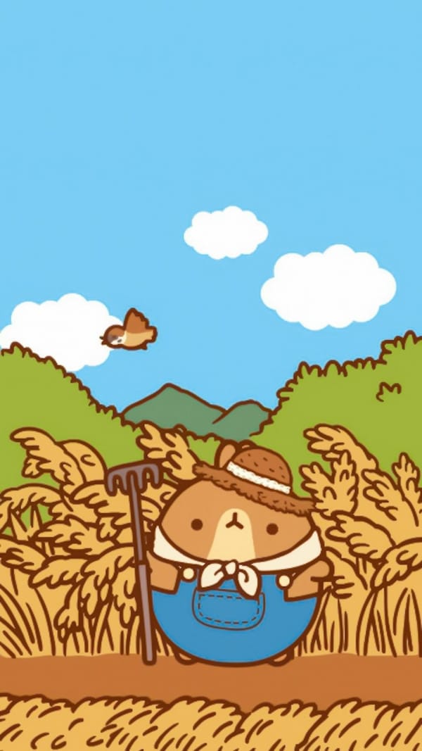 Обои