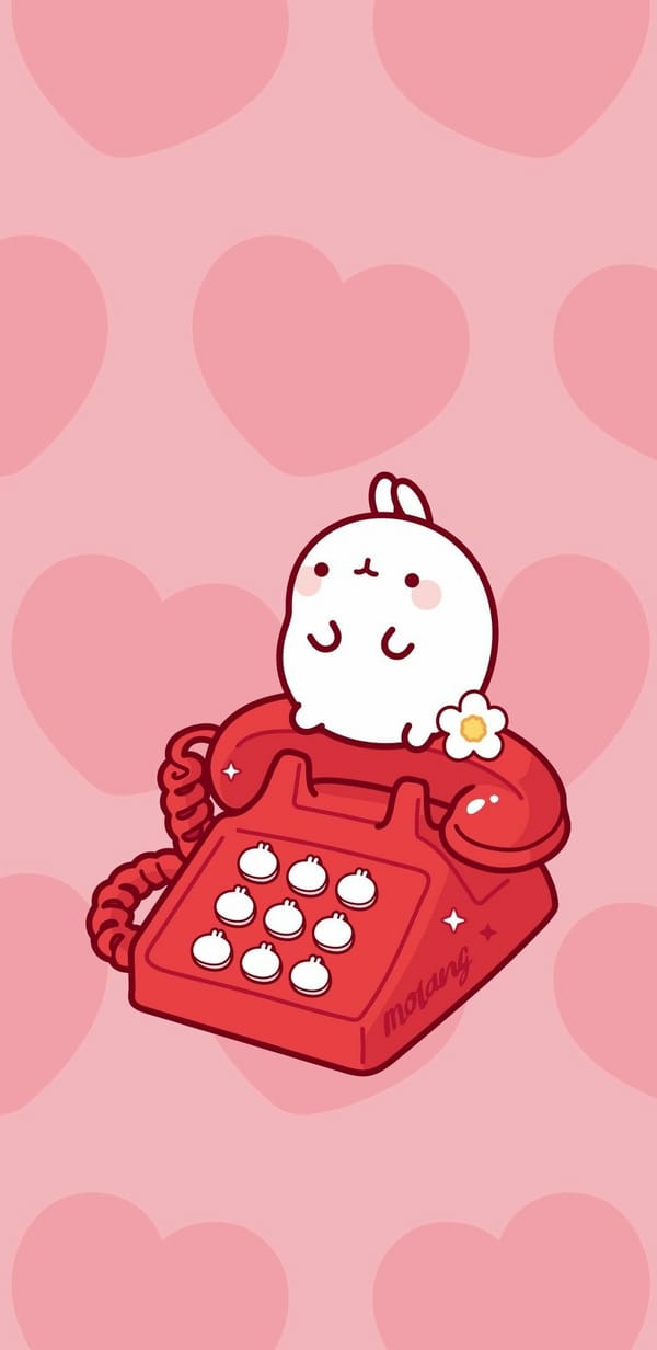 Обои