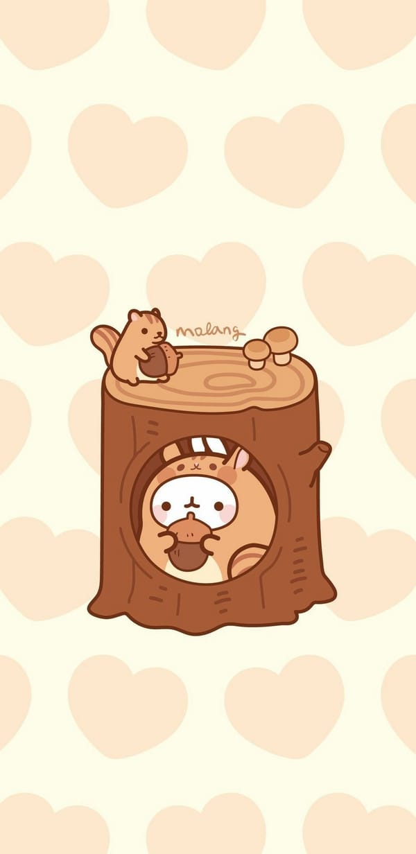 Обои