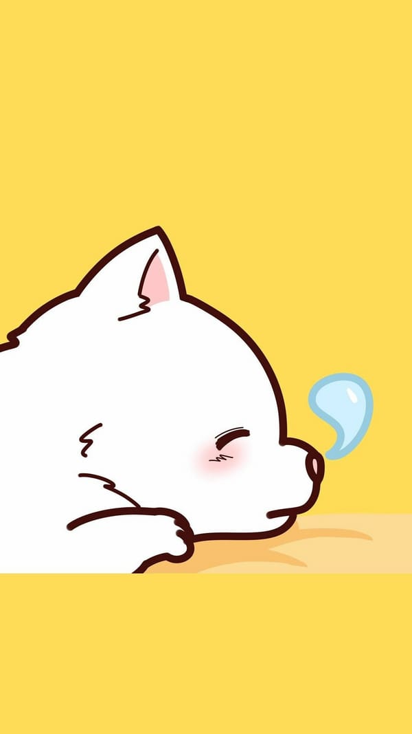 Обои