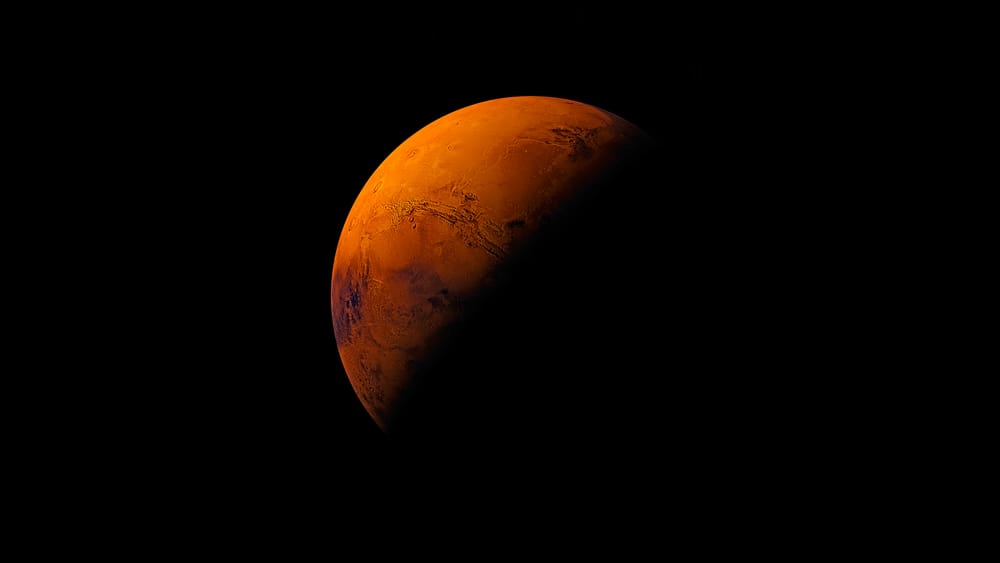 Обои