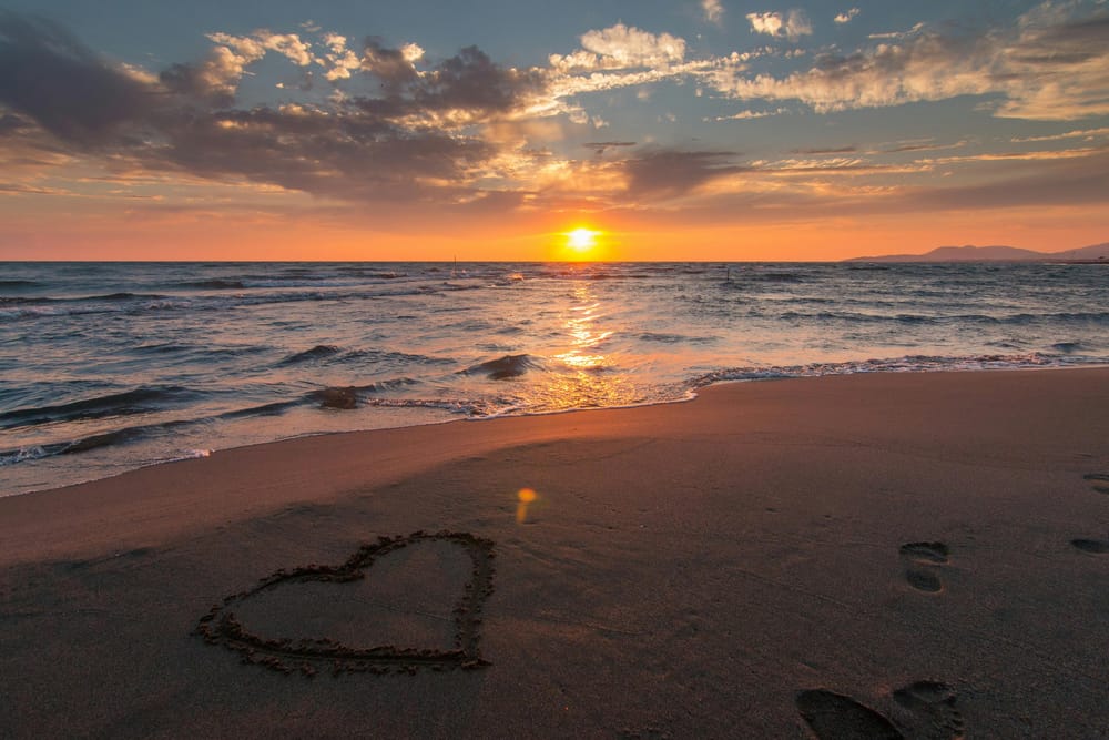 Обои
