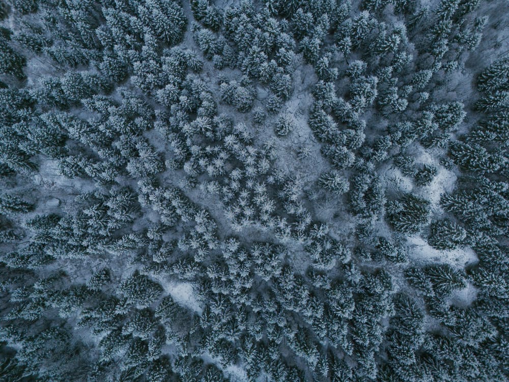 Обои