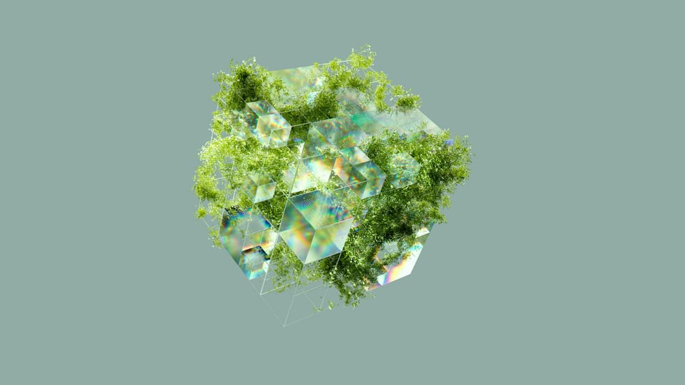 Обои
