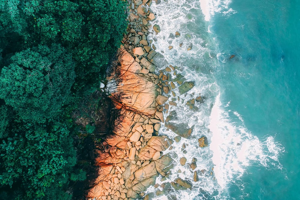 Обои