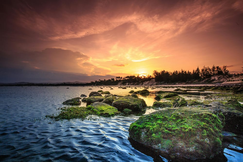 Обои