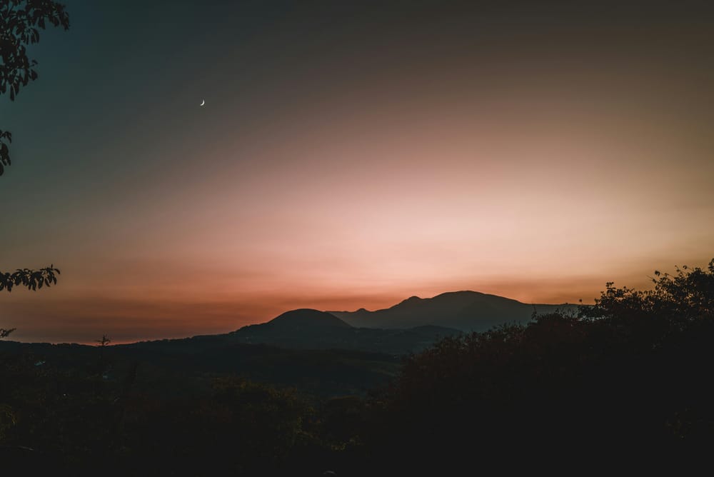 Обои