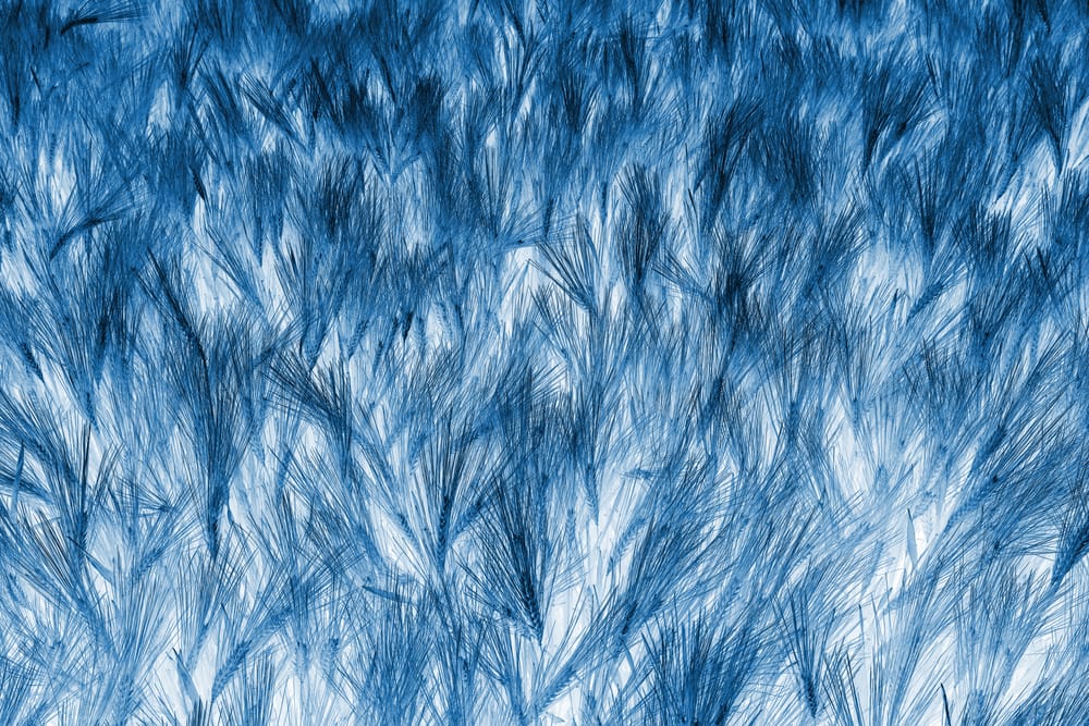 Обои
