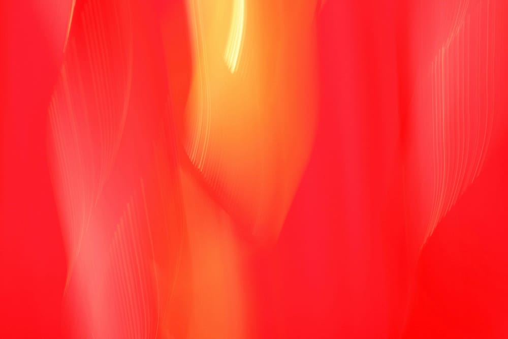 Обои