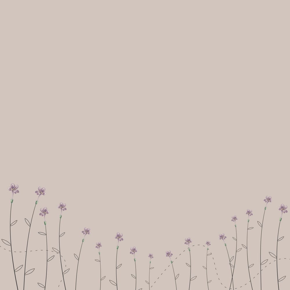 Обои