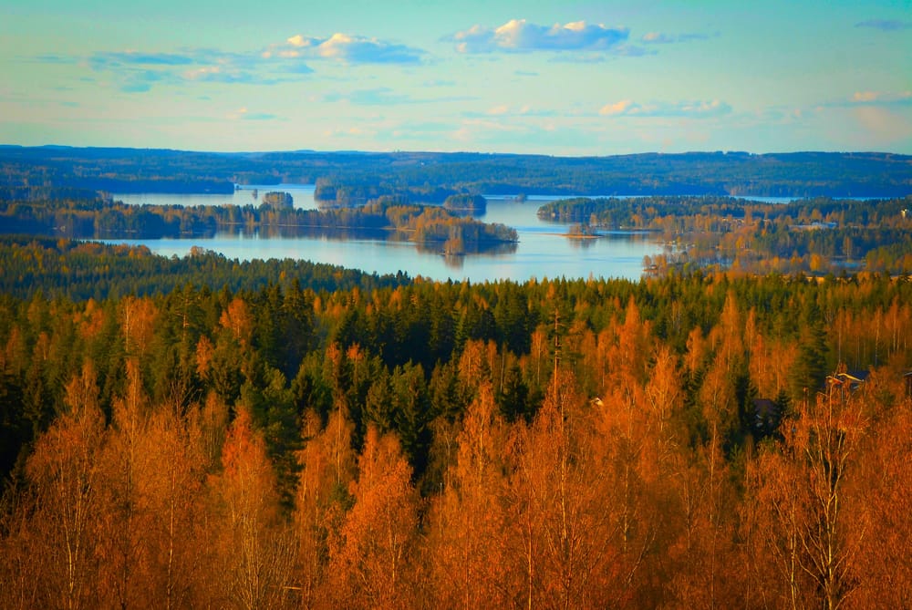 Обои