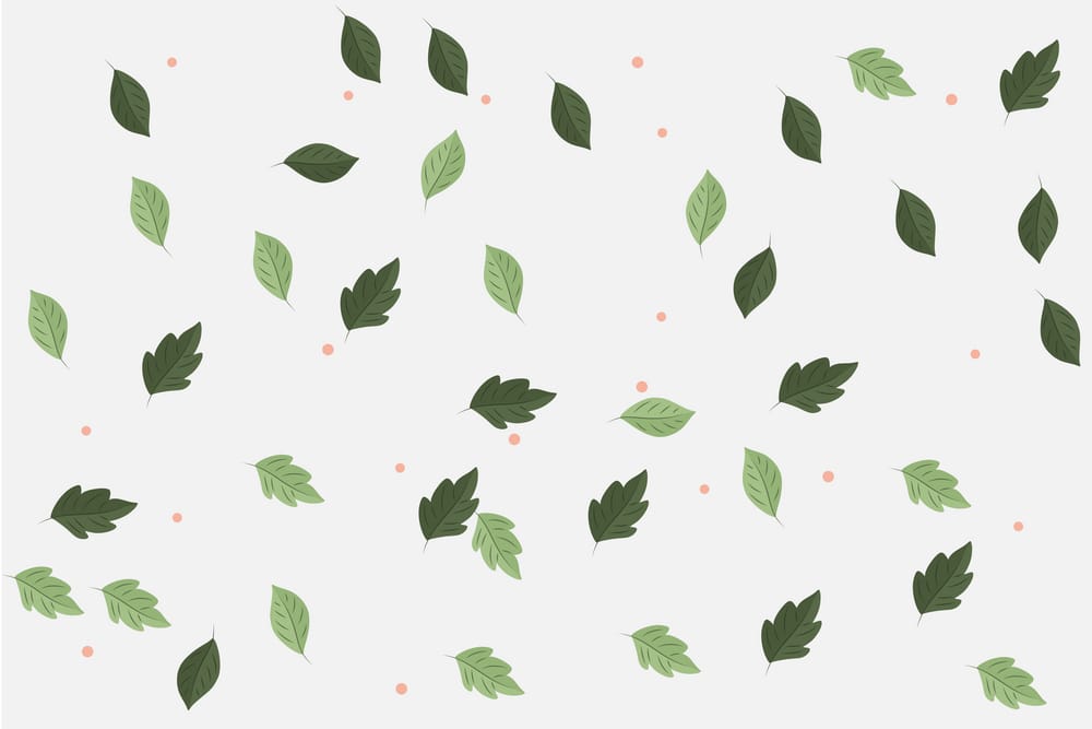 Обои