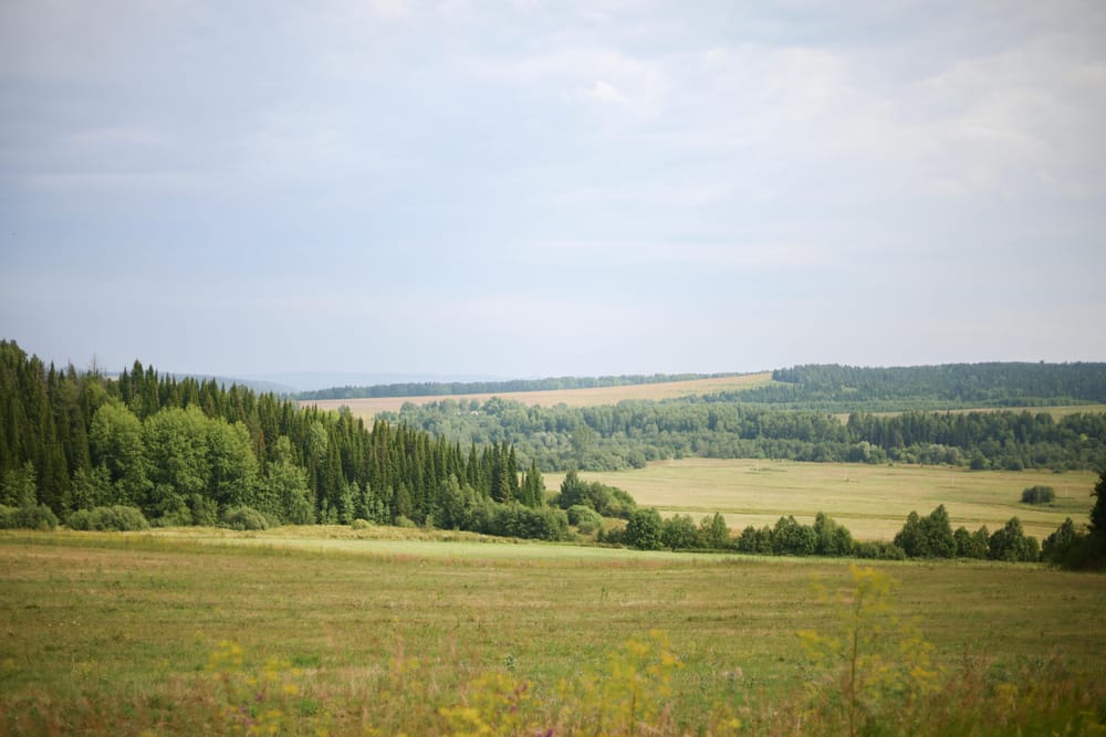 Обои