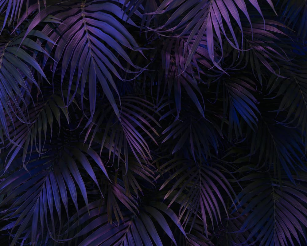 Обои