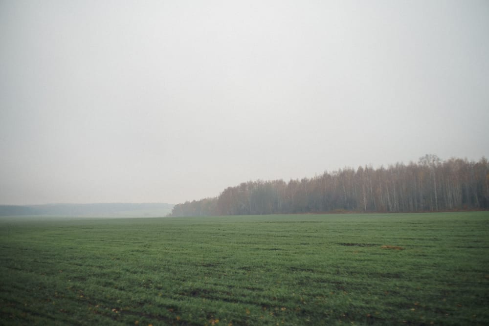 Обои