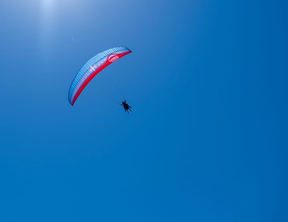 Обои