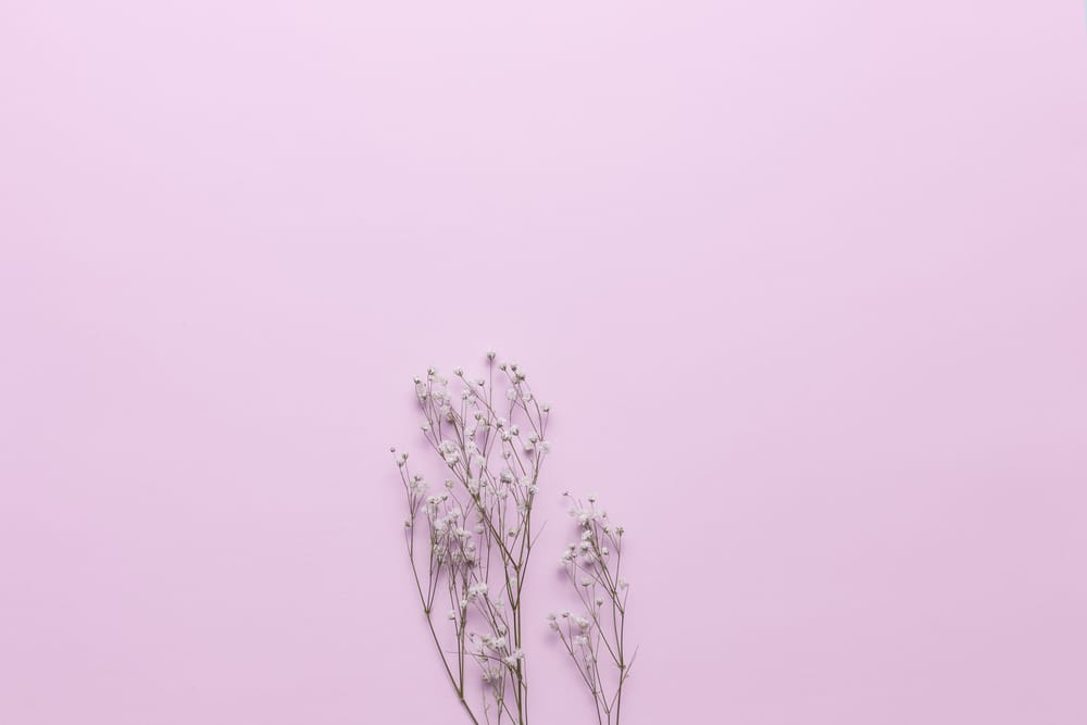 Обои