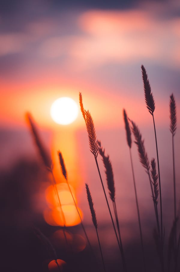 Обои
