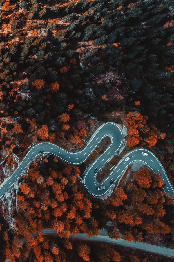 Обои