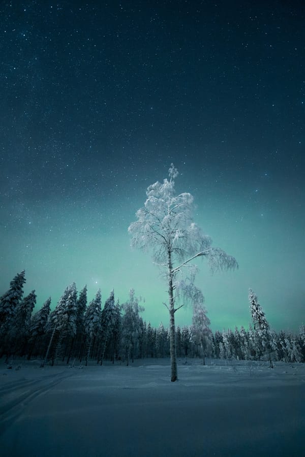 Обои