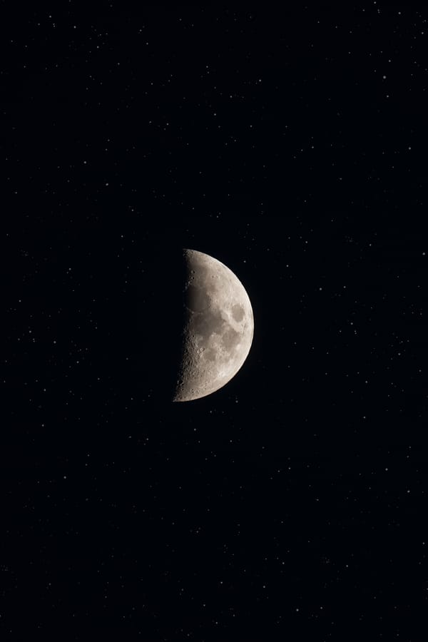 Обои