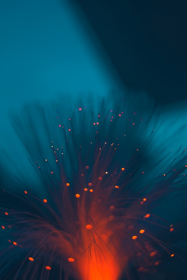 Обои
