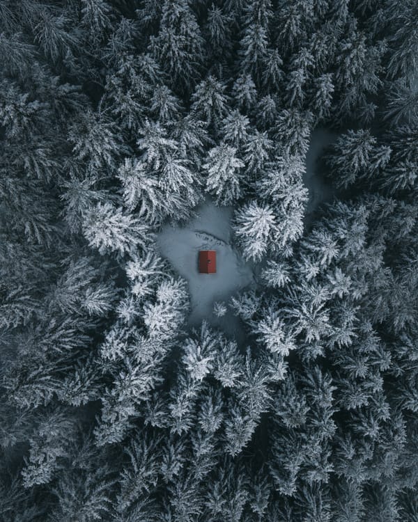 Обои