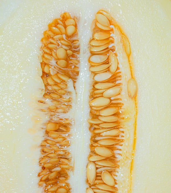 Обои