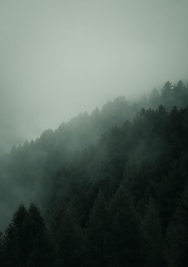 Обои