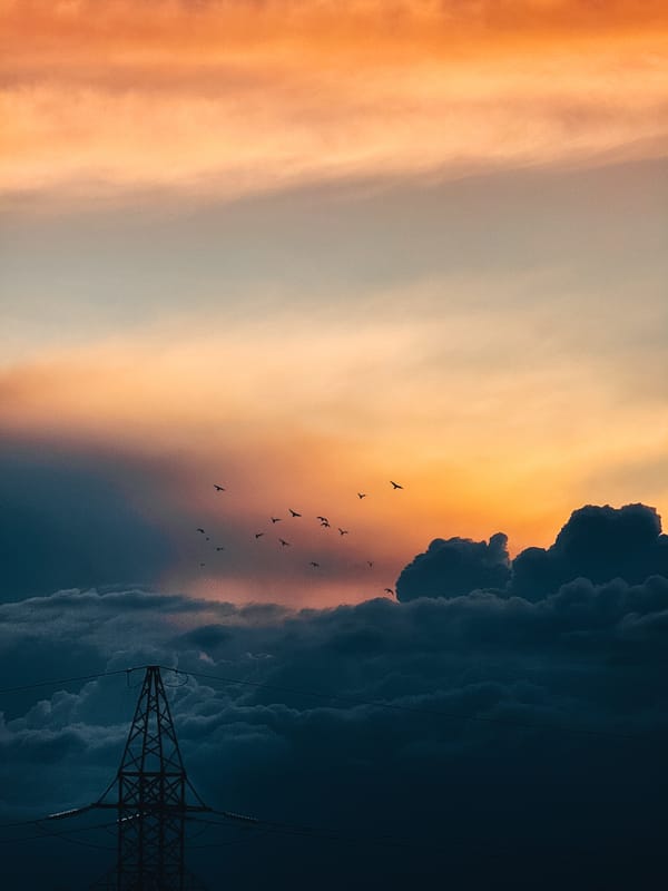Обои